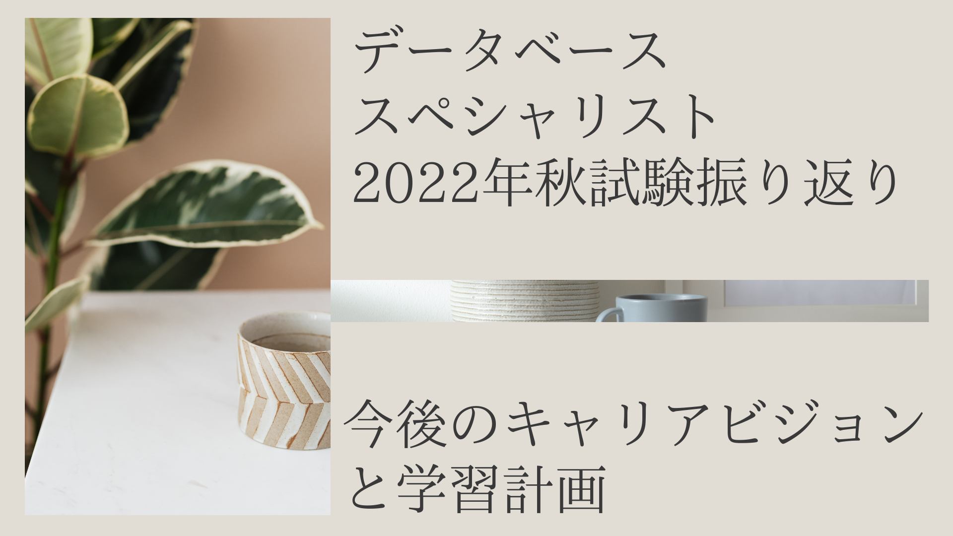 2022年10月データベーススペシャリスト資格 本試験振り返り｜統計情報を元にした考察｜今後のキャリアビジョンと学習計画 ※12月22日更新※ |  Simple Green Blog